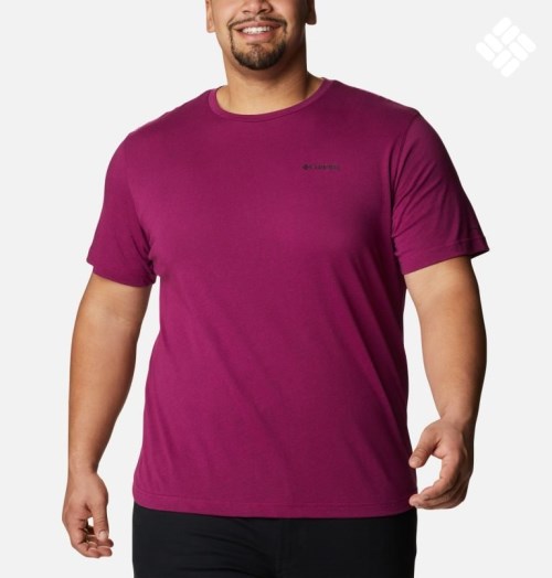 Columbia Thistletown Hills Kort Sleeve T-skjorte Herre Fuchsia | Plus Size 38516Z